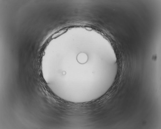 X0000114991256200912071109