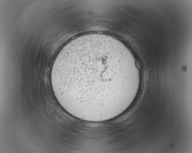 X0000114991257200912071109