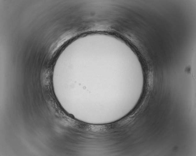 X0000114991258200912071109