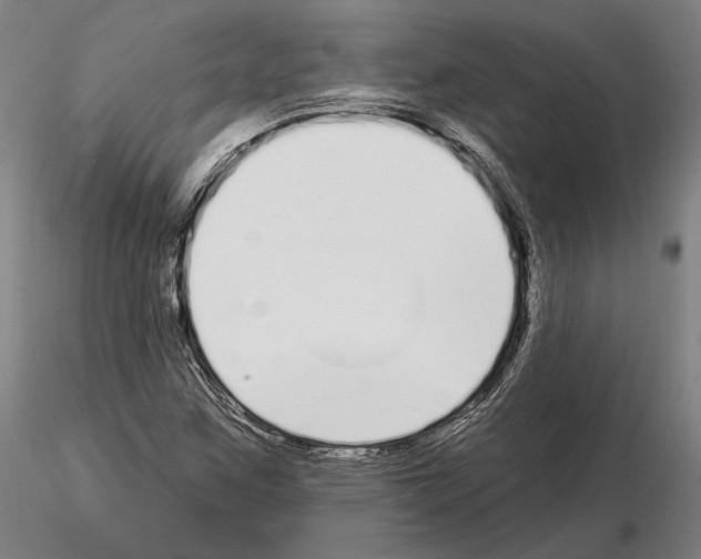 X0000114991259200912071109