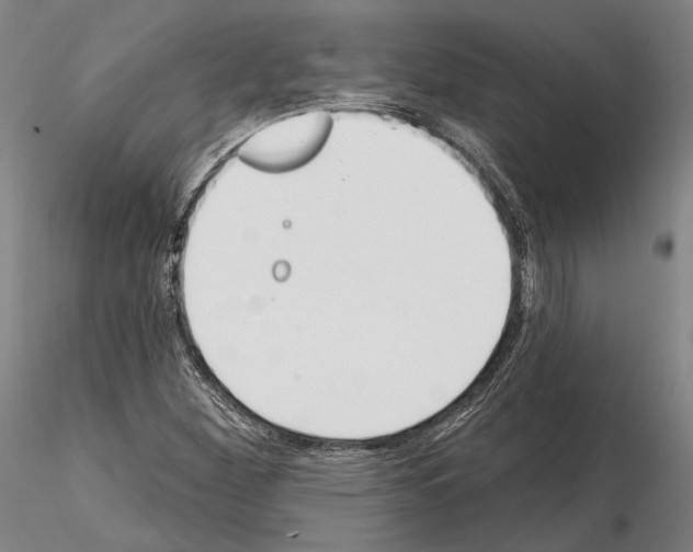 X0000114991260200912071109