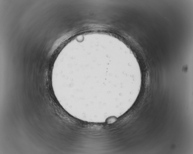 X0000114991261200912071109