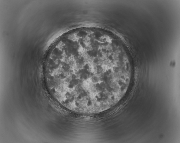 X0000114991263200912071109