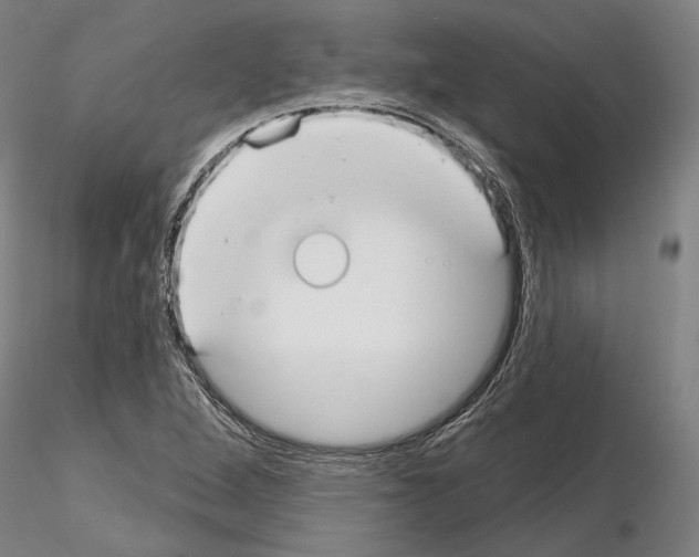 X0000114991264200912071109