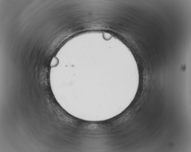 X0000114991265200912071109