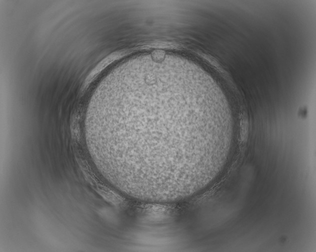 X0000114991266200912071109