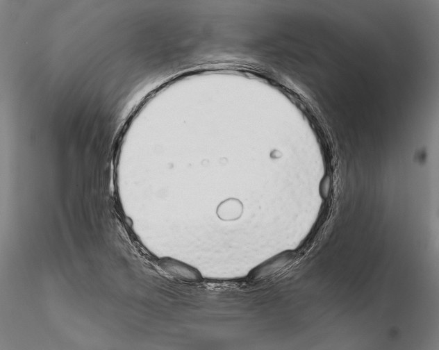 X0000114991267200912071109