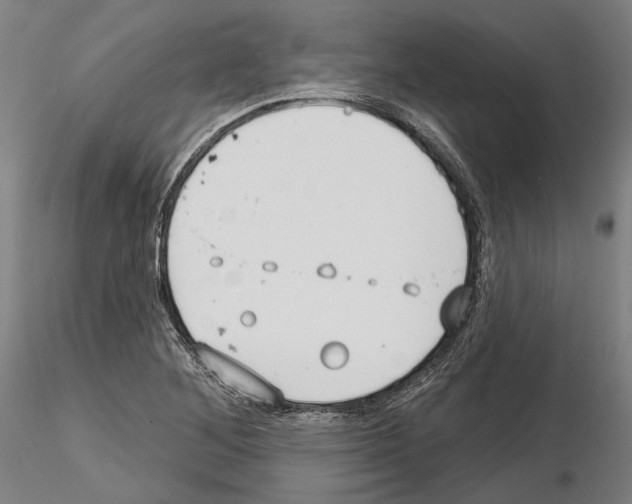 X0000114991268200912071109