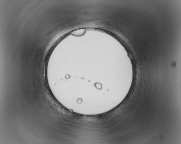 X0000114991270200912071109