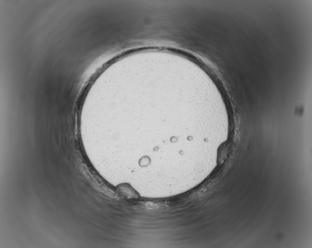 X0000114991271200912071109