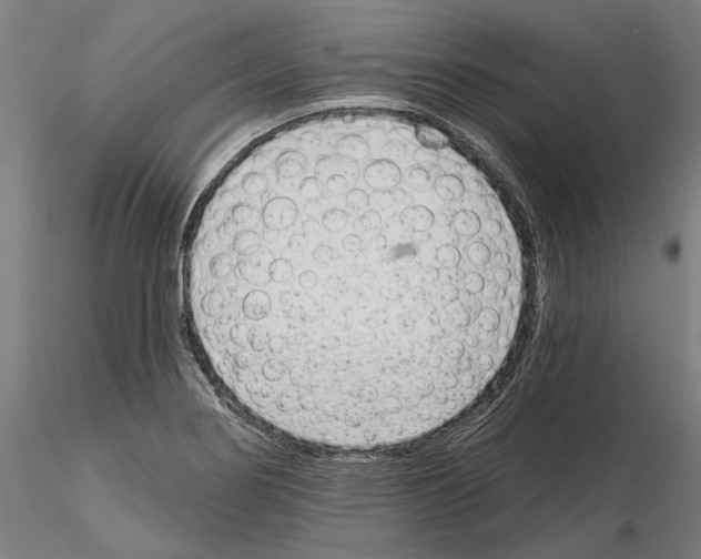 X0000114991274200912071109