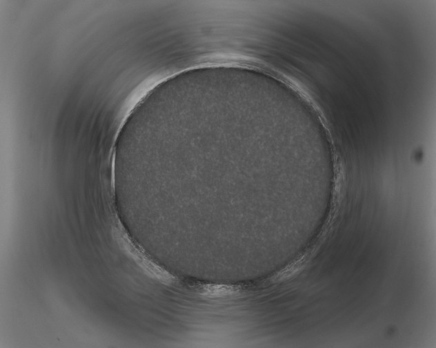 X0000114991275200912071109