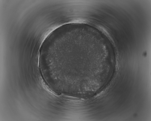 X0000114991276200912071109