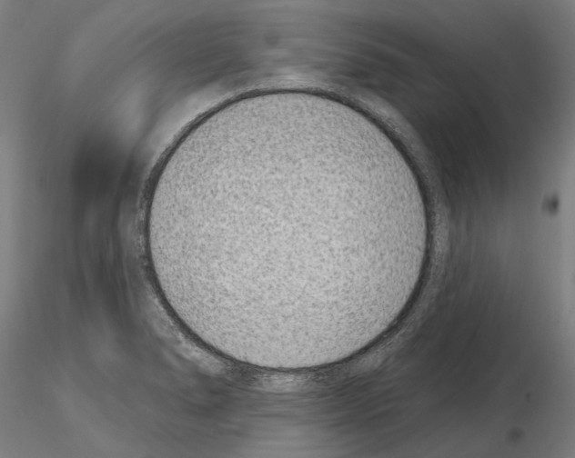 X0000114991278200912071109