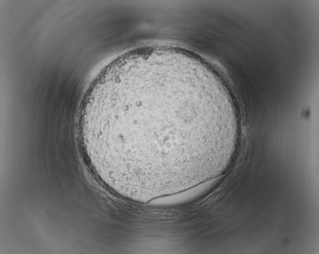 X0000114991279200912071109