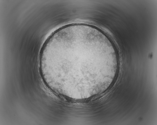 X0000114991280200912071109