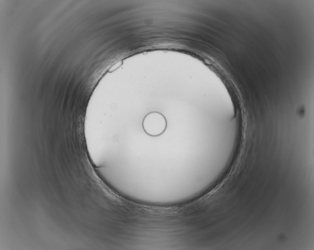 X0000114991281200912071109