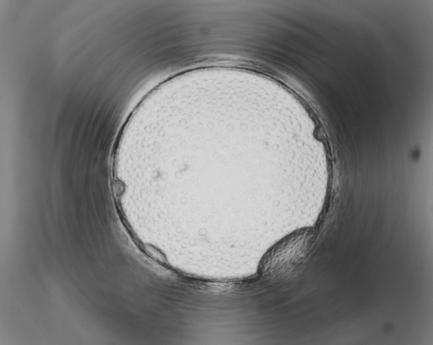 X0000114991283200912071109