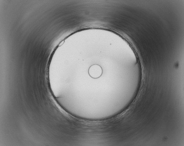 X0000114991285200912071109