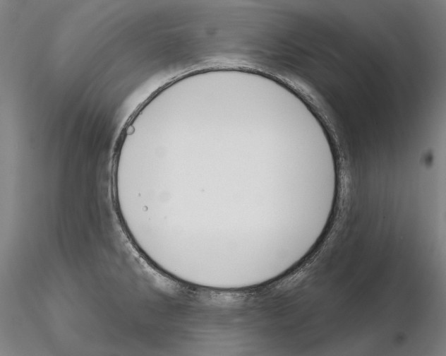 X0000114991286200912071109