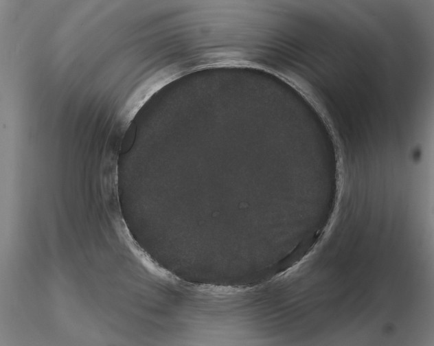 X0000114991289200912071109