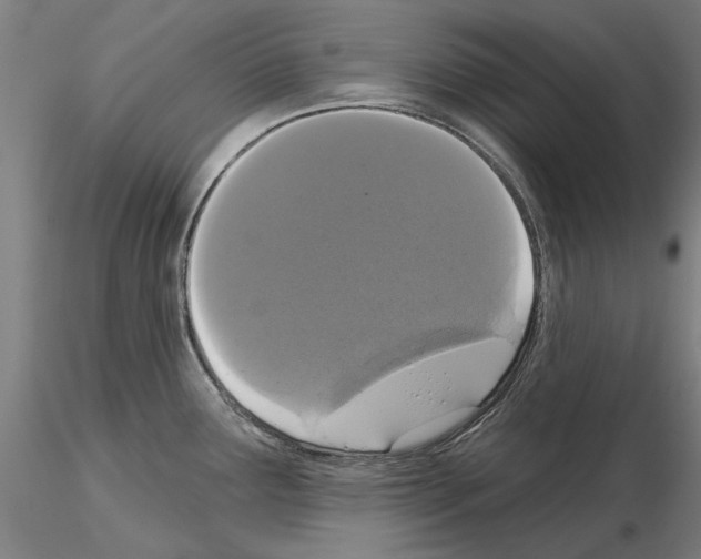 X0000114991291200912071109