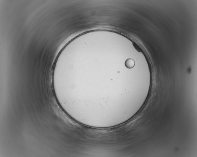 X0000114991292200912071109