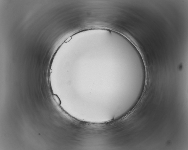 X0000114991293200912071109