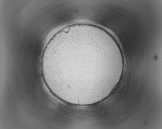 X0000114991295200912071109