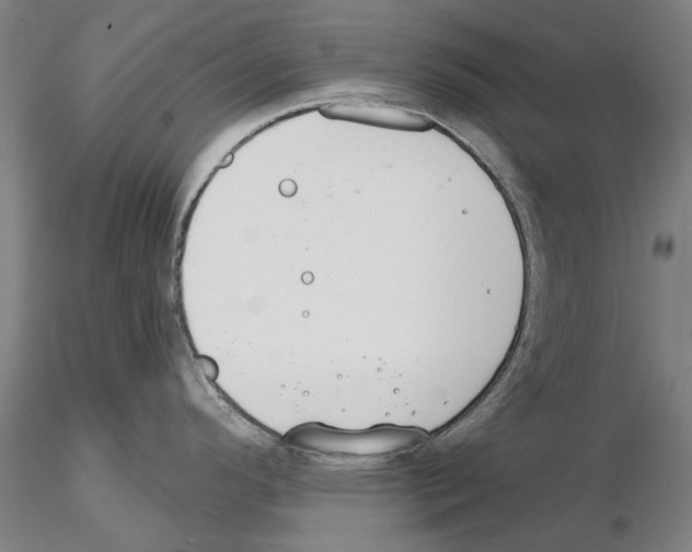 X0000114991296200912071109