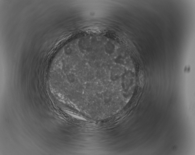 X0000114991297200912071108