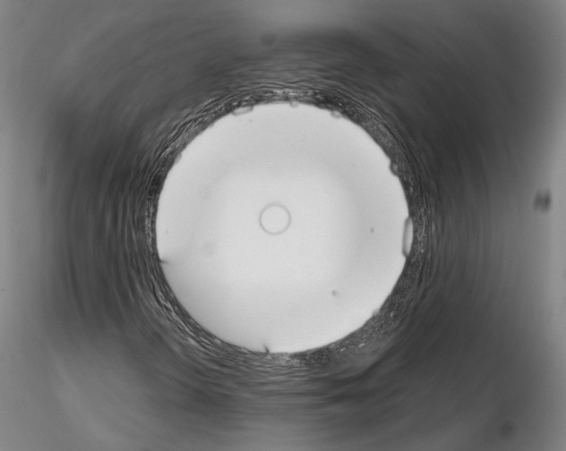 X0000114991298200912071108