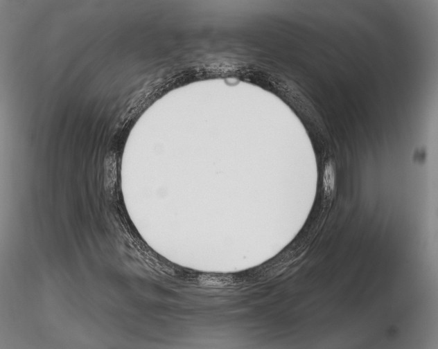 X0000114991299200912071108