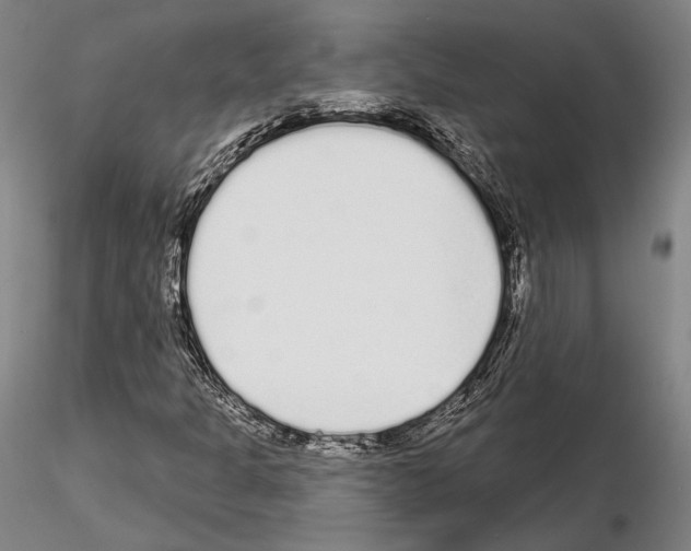 X0000114991301200912071108