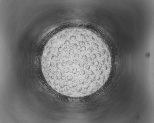 X0000114991302200912071108