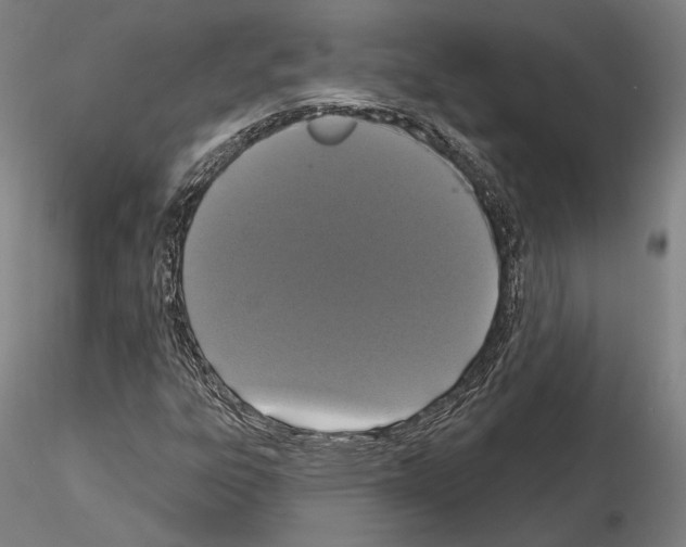 X0000114991303200912071108