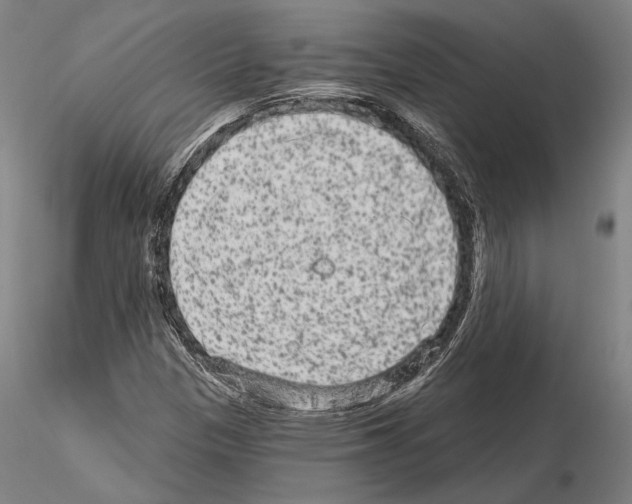 X0000114991305200912071108