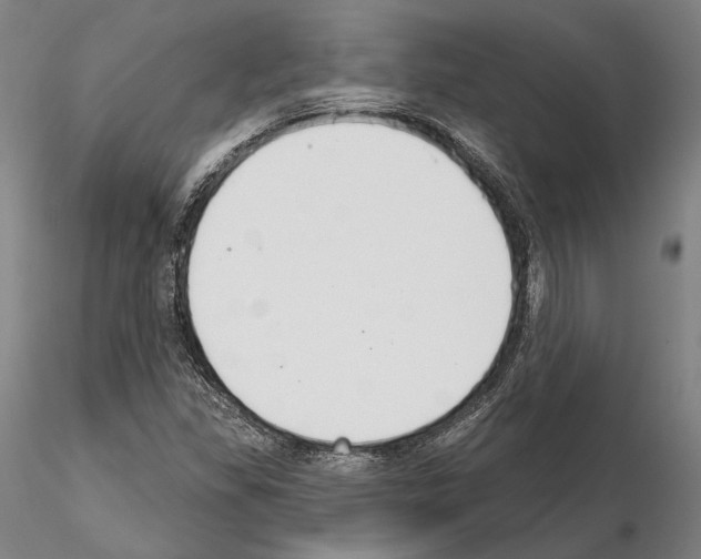 X0000114991309200912071108