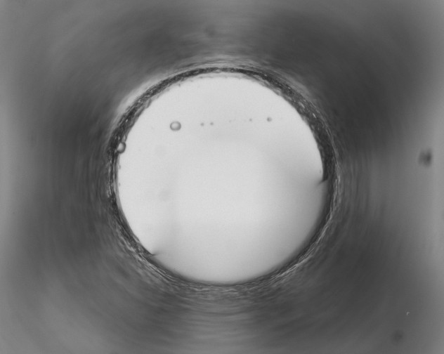 X0000114991310200912071108