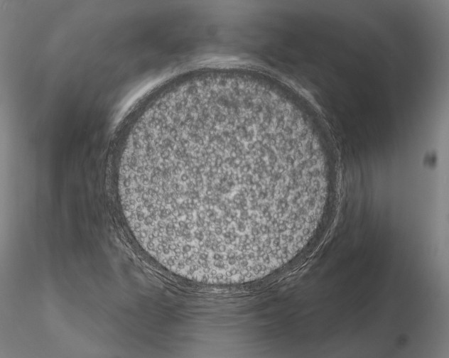 X0000114991311200912071108