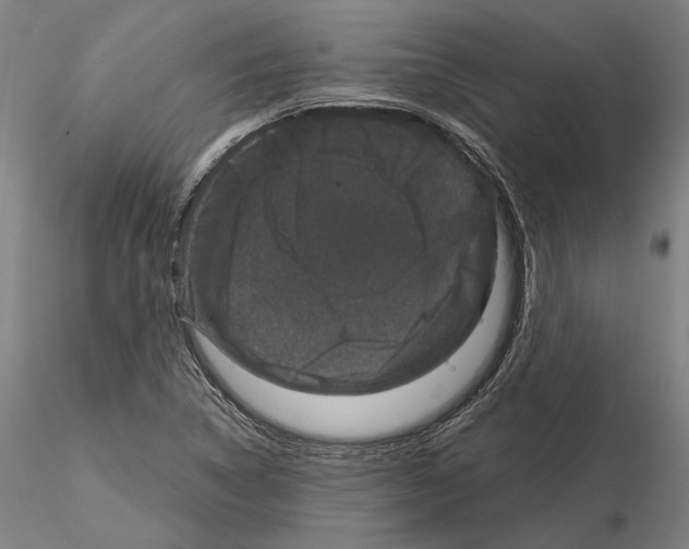 X0000114991314200912071108