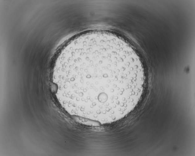 X0000114991315200912071108