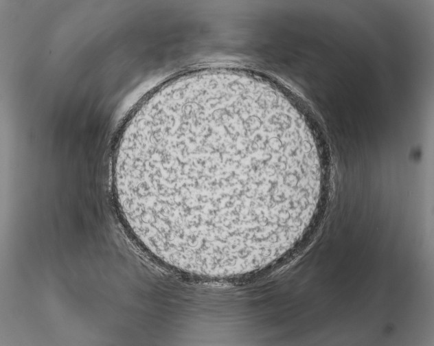 X0000114991317200912071108