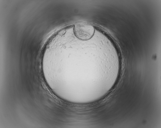 X0000114991318200912071108