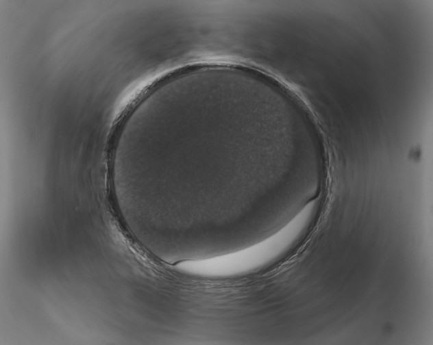 X0000114991319200912071108