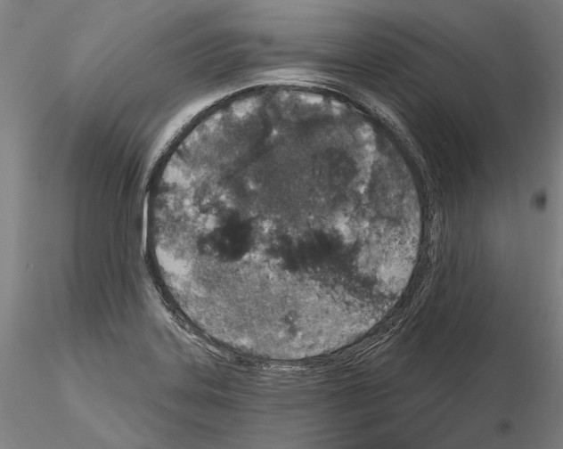 X0000114991323200912071108