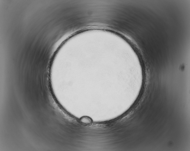 X0000114991325200912071108