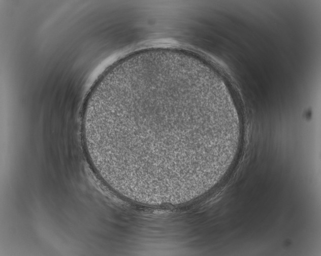 X0000114991326200912071108