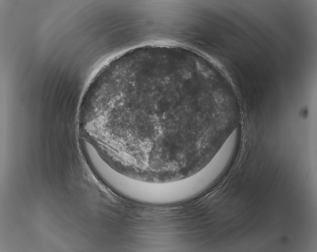 X0000114991327200912071108