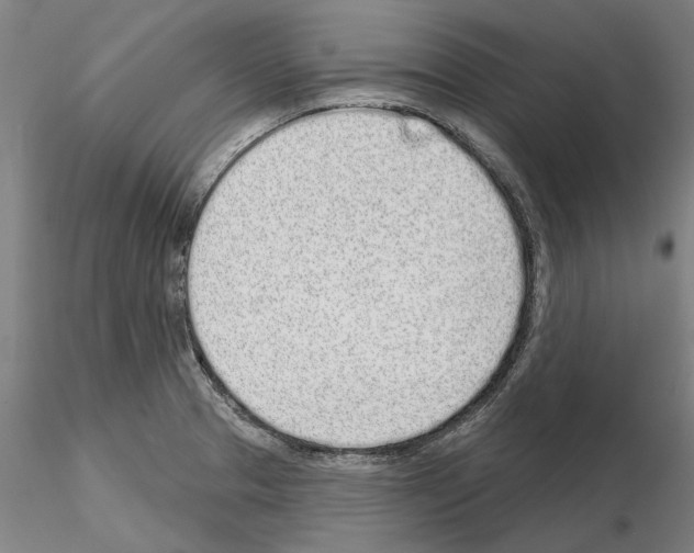 X0000114991329200912071108